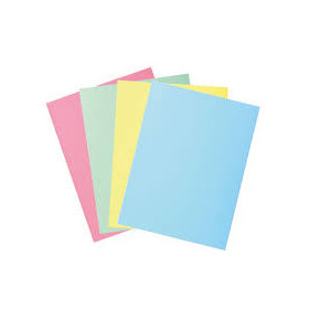 chemise cartonne 240g 24/32 panache safridos unite